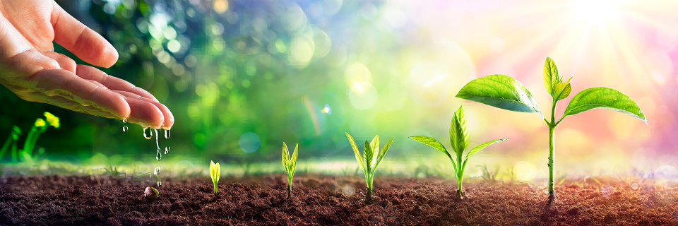 首页-DS视讯厅真人官方网站